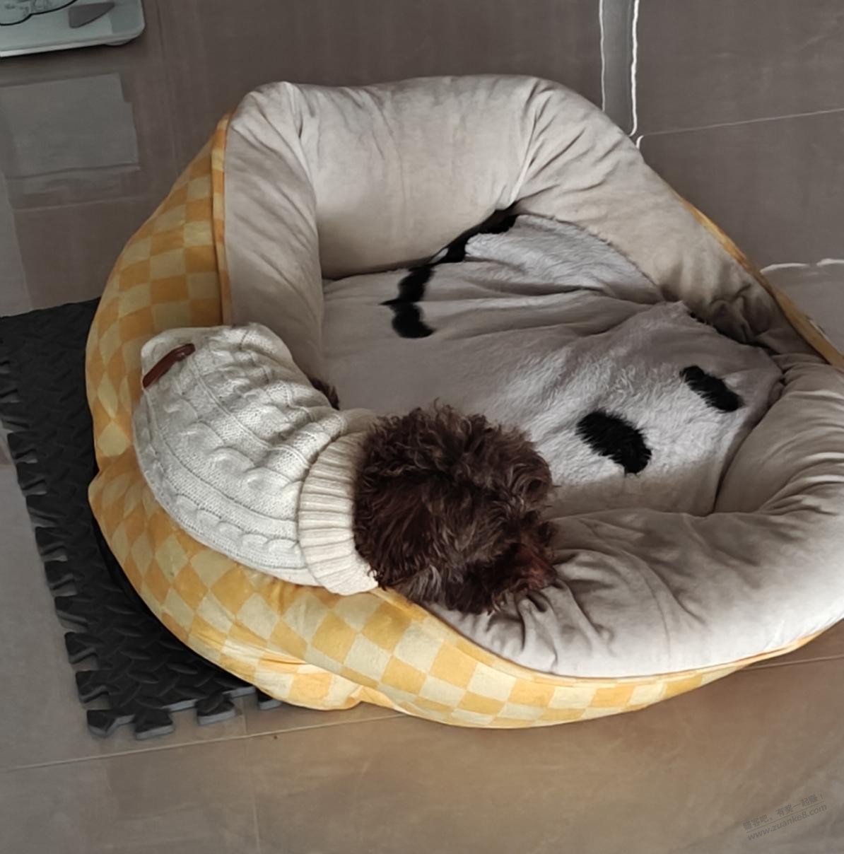 动物也不能公平，何况人乎。所以没有什么事想不通的