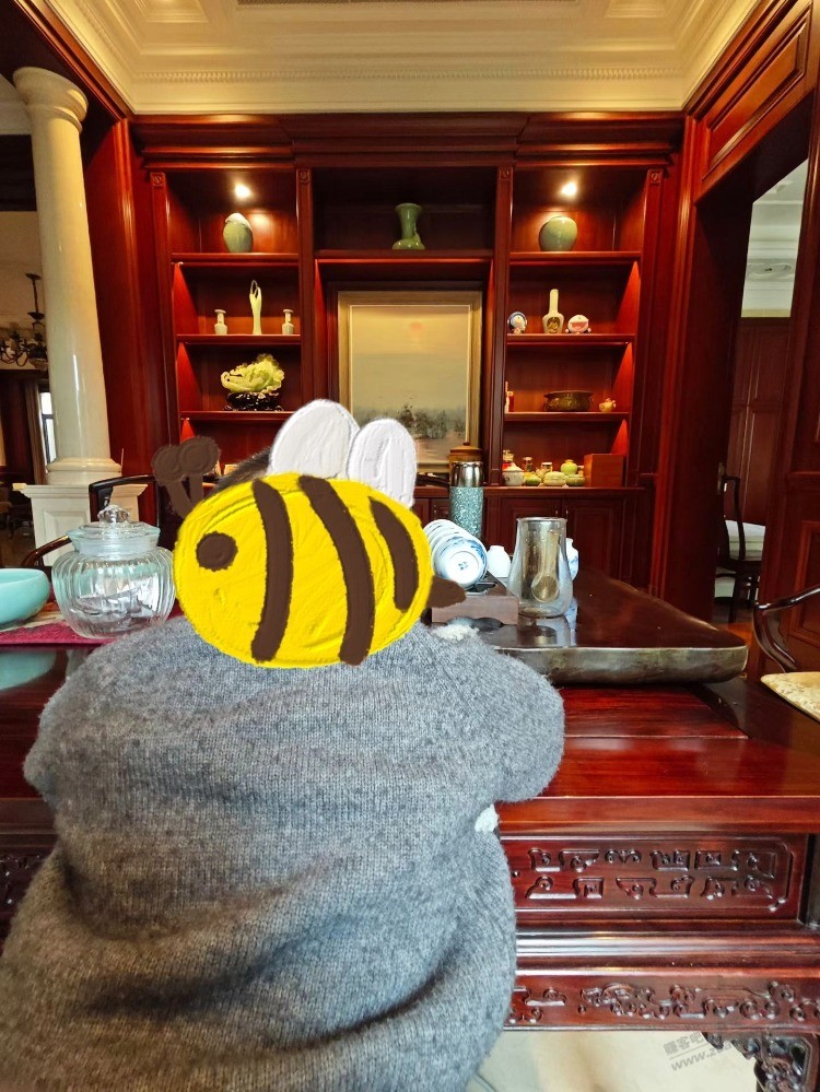 误闯天家 1.4亩的绿城独栋别墅要多少钱啊