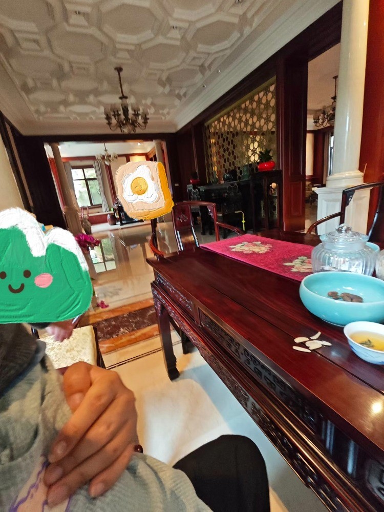 误闯天家 1.4亩的绿城独栋别墅要多少钱啊