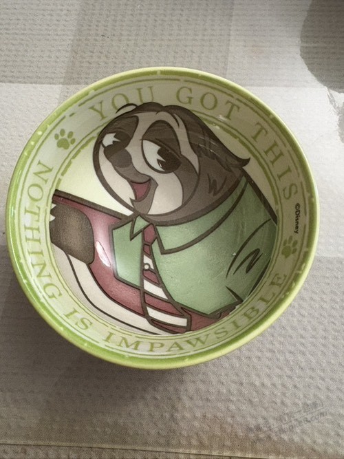 给大家看看小鱼糖种出来的疯狂动物城盲盒碗