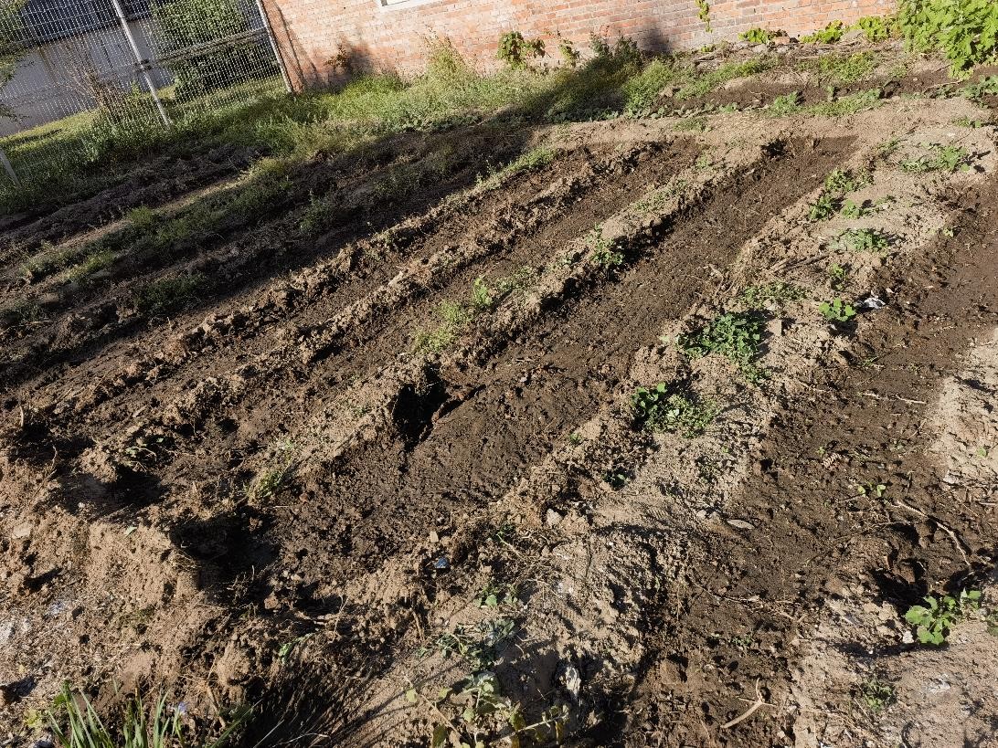 现在干农活真不行了