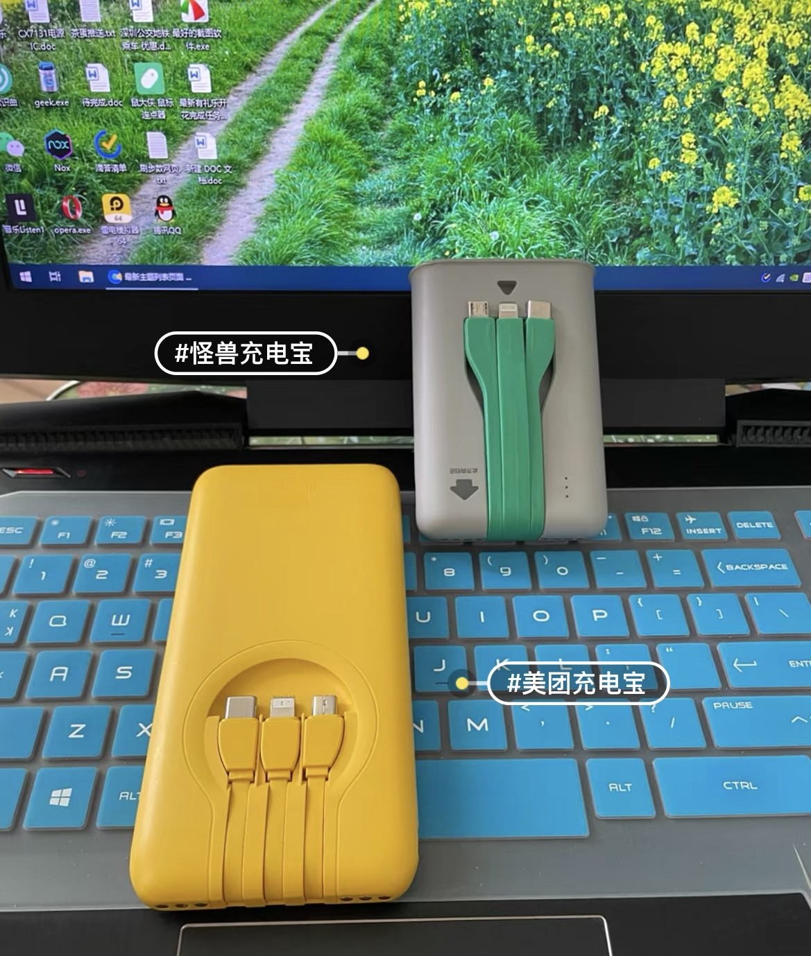 上上月在垃圾回收佬截下，美团充电宝在鱼上卖了28块