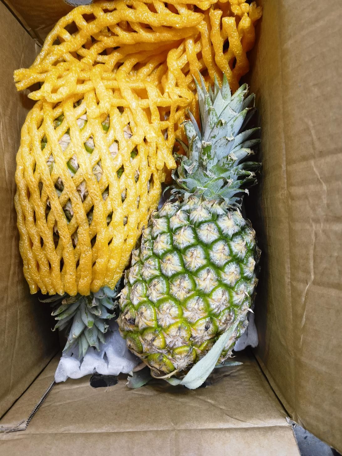 多多这家风梨质量不错