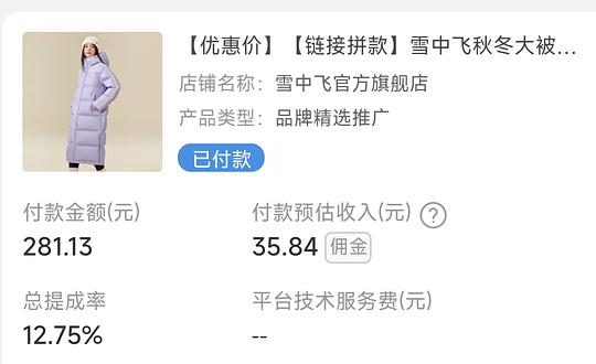 85r雪中飞长款羽绒服