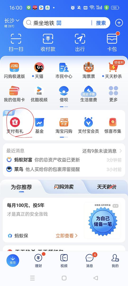 支付宝小毛