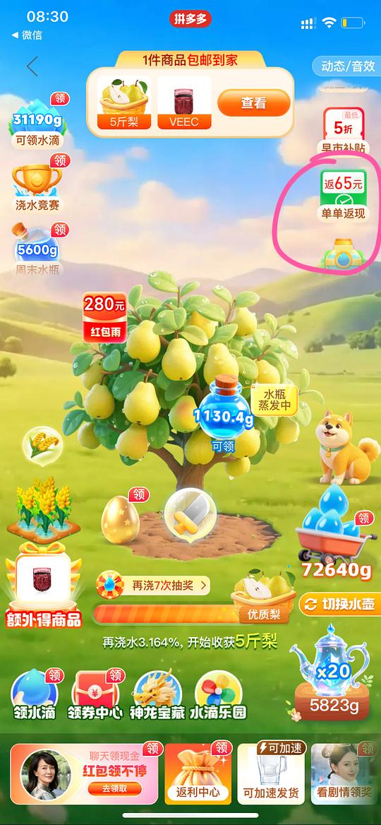 碧然德净水壶一壶一芯40