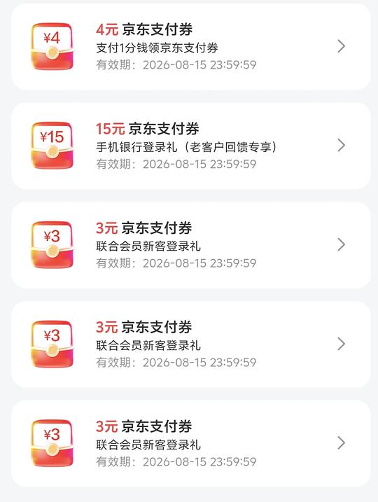 京东28r支付券