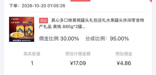 真心黄桃罐头880g  不到13两罐