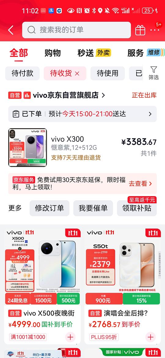 vivo x300 12+512 3384