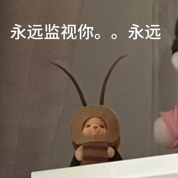 蓝威斯顿细薯条12块多2kg