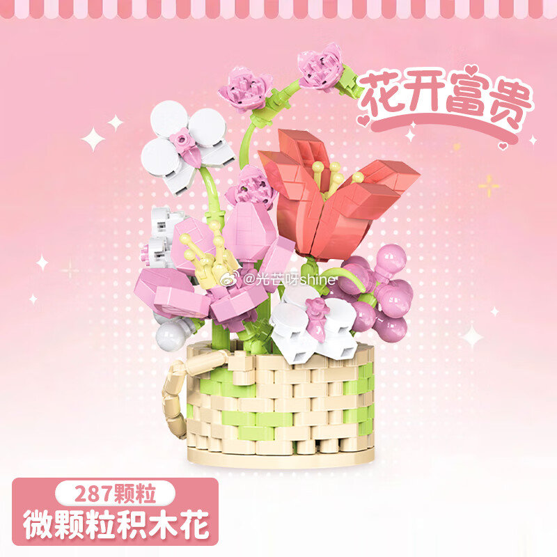 聪派积木花束花朵积木 3件5折 专区凑2个，凑后大约1元...