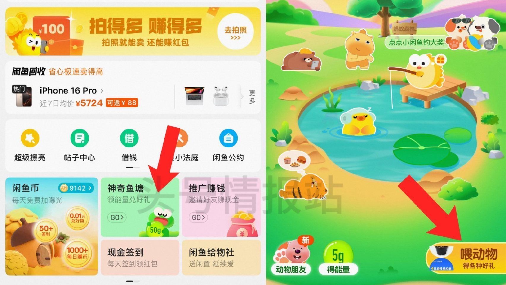 闲🐟-我的-神奇鱼塘 部分号有 做任wu 投喂到3级后 可得0.01露比loopy周边盲he等 也有...