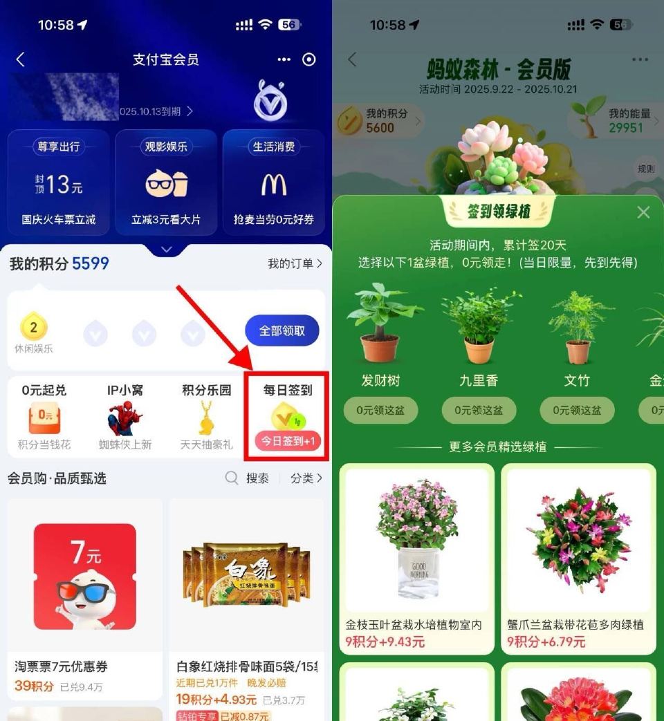 🌟zfb蚂蚁森林签20天领绿植 zfb-我的-zfb会員 右侧【每日签到】 累计签20天 可O亓领绿...