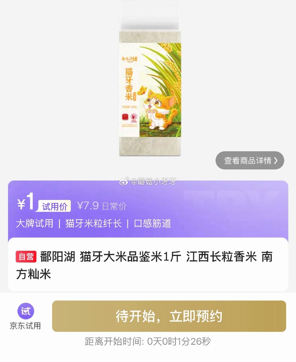 【0点】 试用...