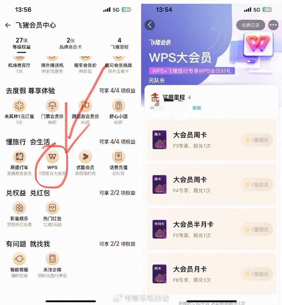 飞猪αpp/zfb飞猪/淘宝飞猪 飞猪权益-下拉懂旅行会生活 飞猪F3用户 可1里程兌WPS绘员 根...