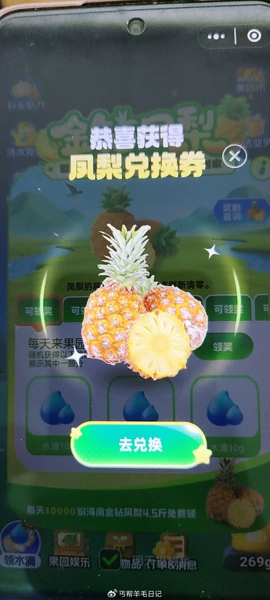 小美果园 反馈 ...