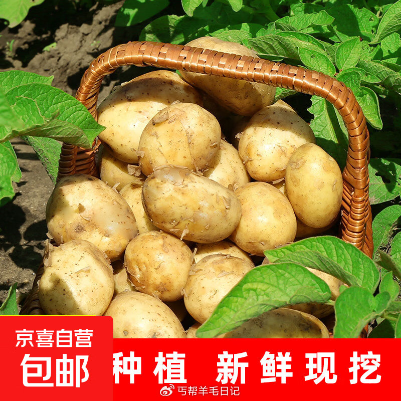 0.9💰2斤土豆🥔...