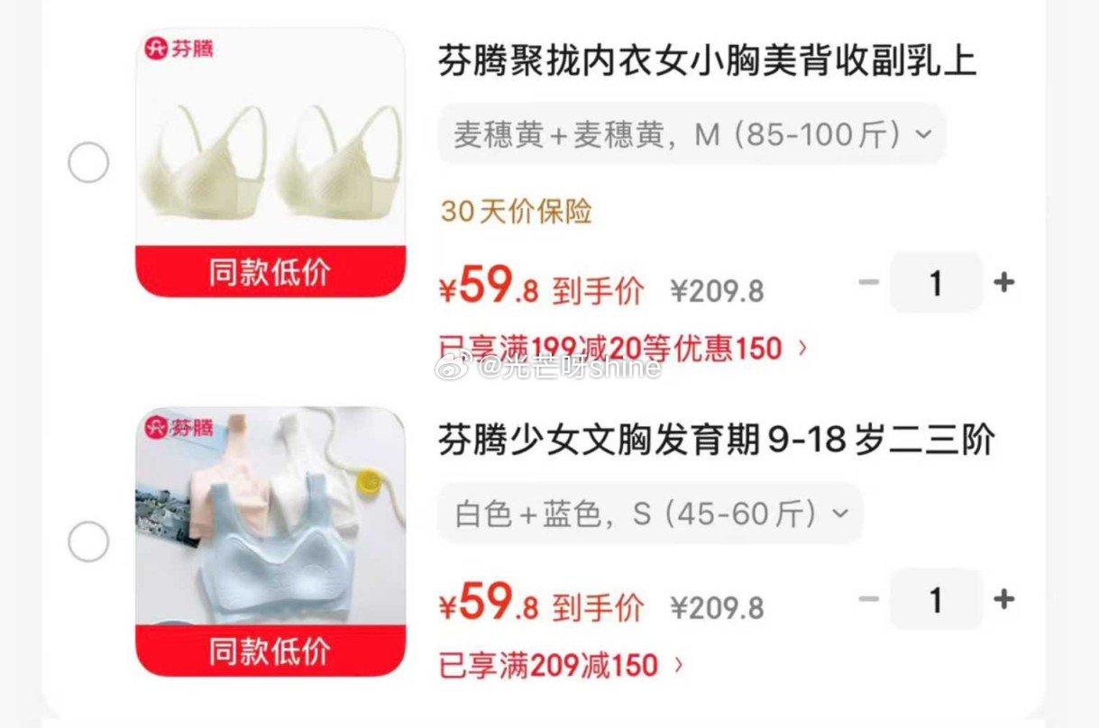 内衣199-20 芬腾 聚拢内衣女小胸美背收副乳 2件装【59.8】 芬腾 少女文胸发育期9-18岁...