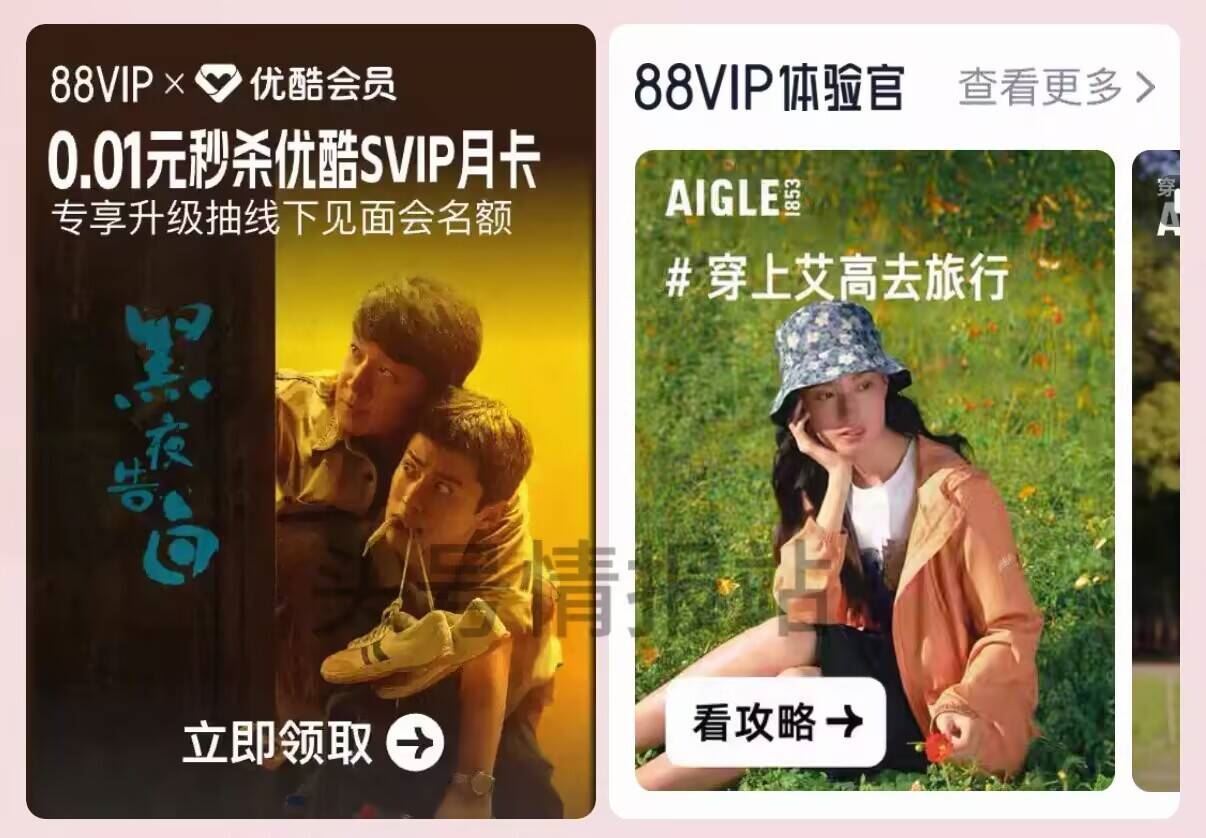 ⏰20:00 🍑宝搜：88vip 如图滚动横幅 可0.01亓眇优酷svip月咔、 0.01抢黑夜告白...