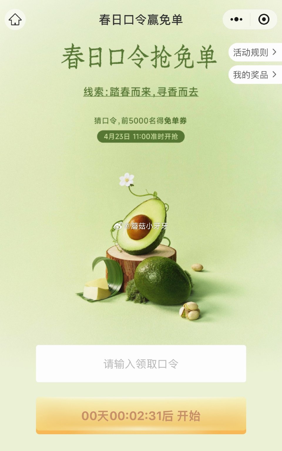 【11点】 茉莉奶白，前5000名免单 口令预计：踏春寻香 #小程序://茉莉奶白/8OLcVzkl...