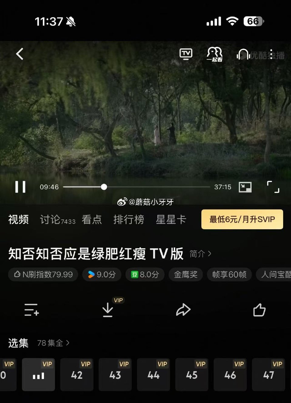 【510周年庆-淘宝免单活动】 淘宝app搜“淘宝免单” 题目：赢在相亲角 线索：淘到好彩头 我是这...