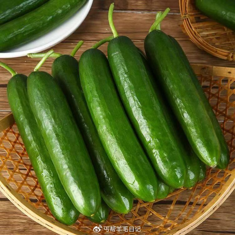 好价冲 叠礼金 3.2/斤‼ 现摘水果黄瓜4.5斤💰14.5...