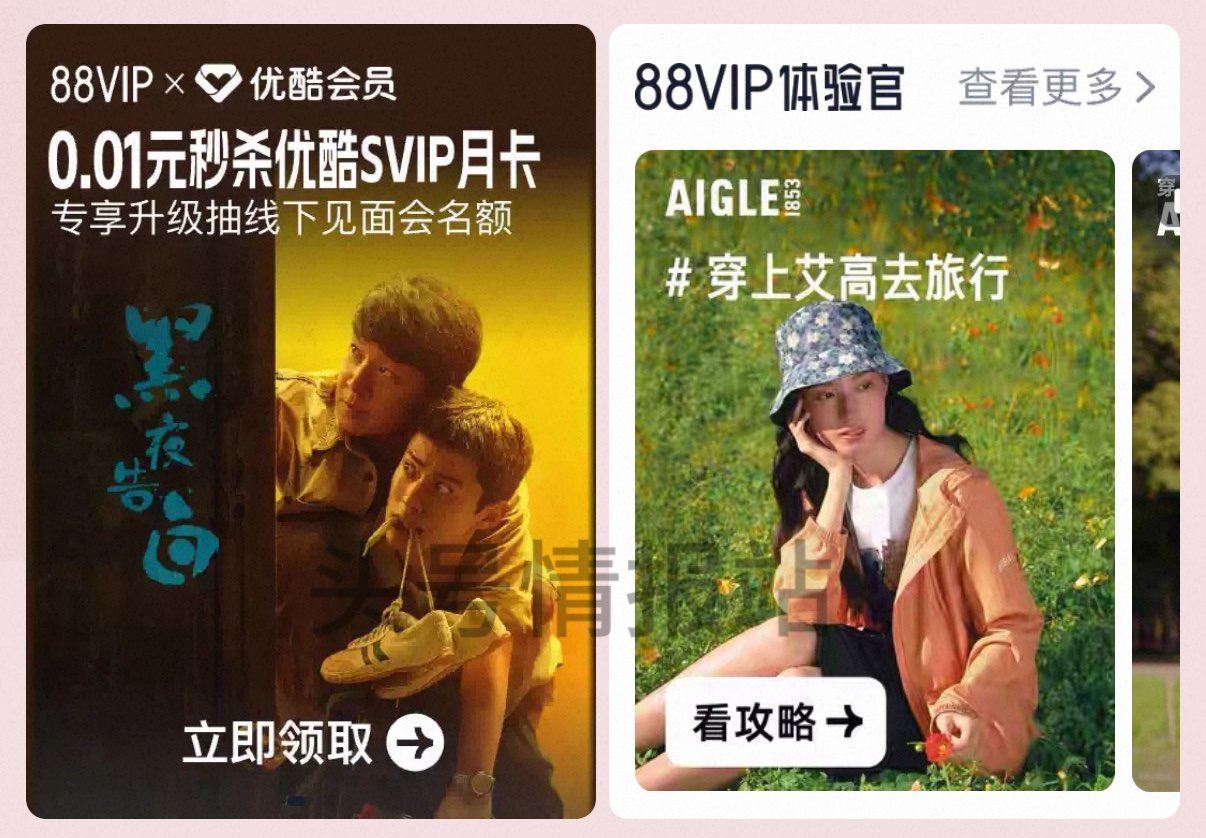 ⏰14:00 🍑宝搜：88vip 如图滚动横幅 可0.01亓眇优酷svip月咔、 0.01抢黑夜告白...