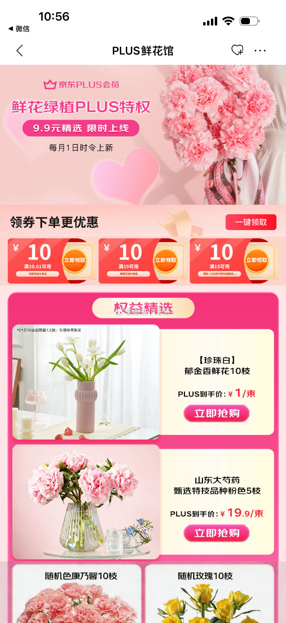 🐶东 鲜花馆10.1-10券 京喜 郁金香鲜花随机色10枝，1...