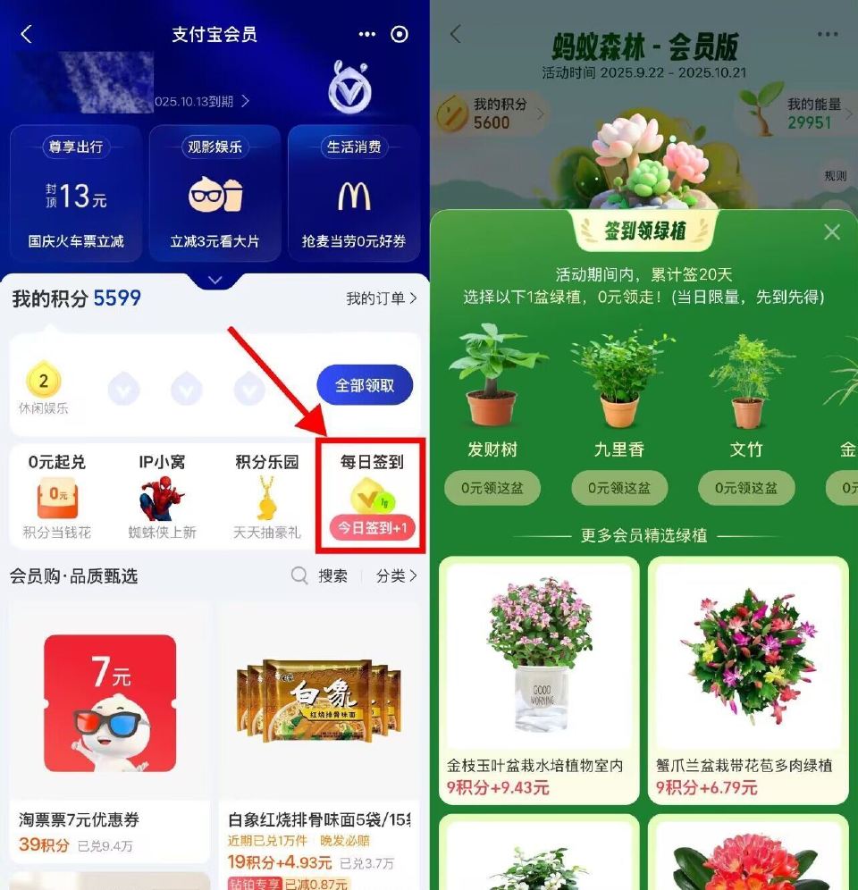 【zfb蚂蚁森林签20天领绿植】 zfb-我的-zfb荟员 右侧【每日签到】 累计签20天 可0亓领...