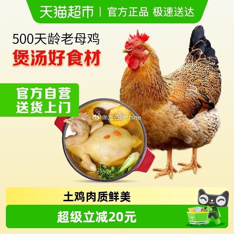 【猫超】 温氏老母鸡慢养500天龄走地鸡1.2kg 详情页进入超级补贴领39-6红包，加购 拍2件叠...