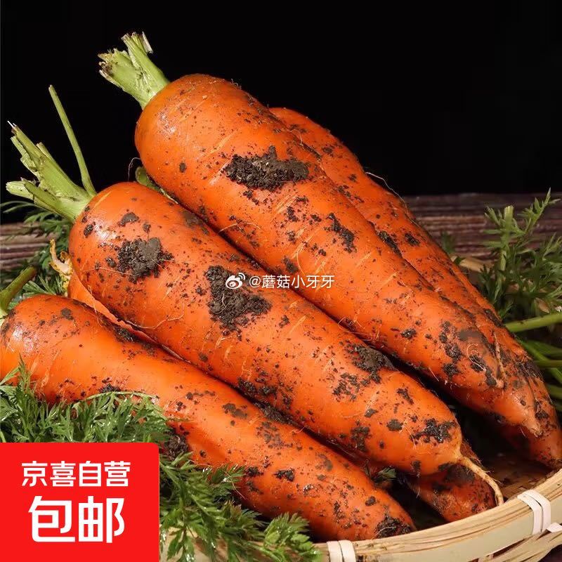 🐶东 京喜 带泥胡萝卜1斤 含箱 拼团【0.99】...