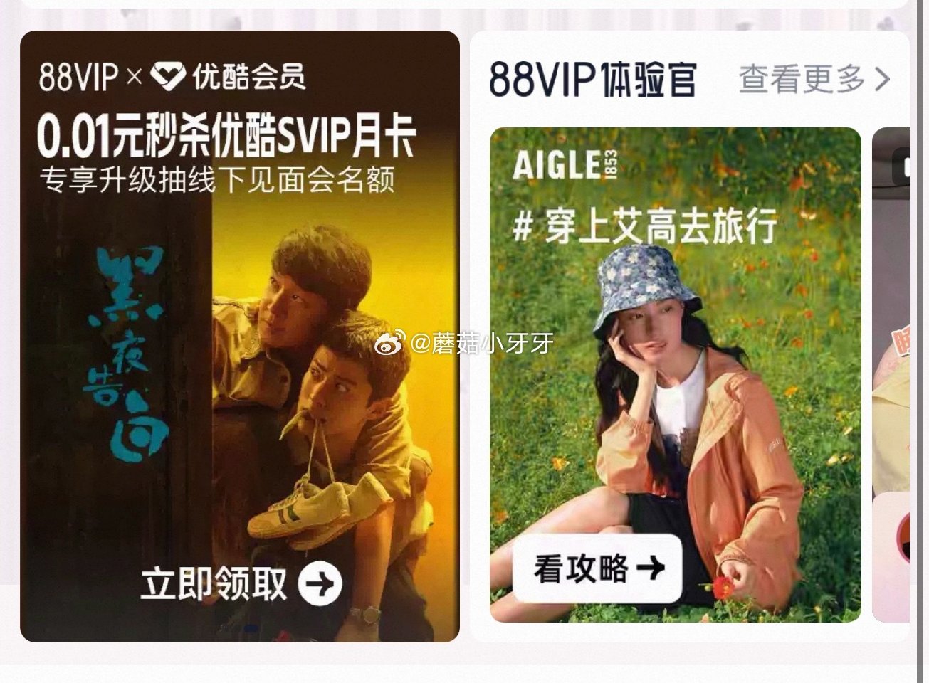 【14点】 淘宝搜：88vip，进入横幅 0.01元秒杀优酷SVIP月卡等...