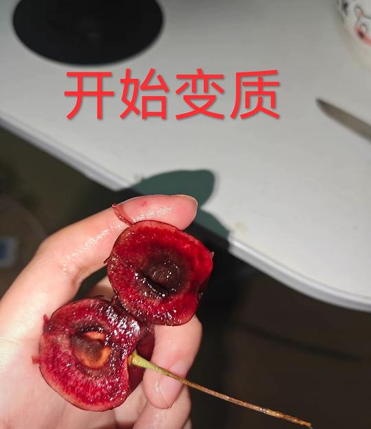 【教程】车厘子 是否变质 辨别 【教程】车厘子 是否变质 辨别