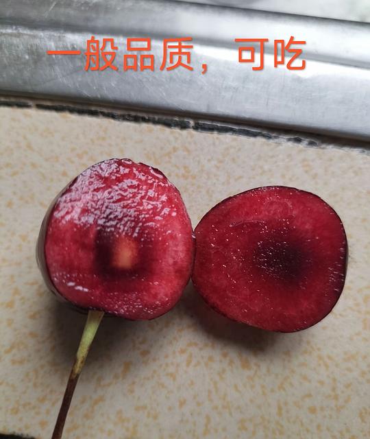 【教程】车厘子 是否变质 辨别 【教程】车厘子 是否变质 辨别