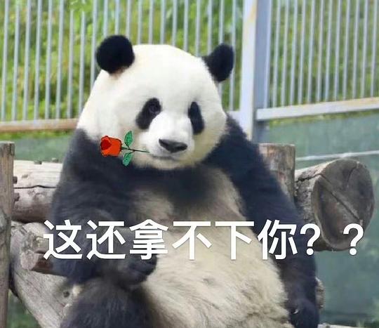 超简单作,正官庄红参元60包到手💰100+ 超简单作,正官庄红参元60包到手💰100+