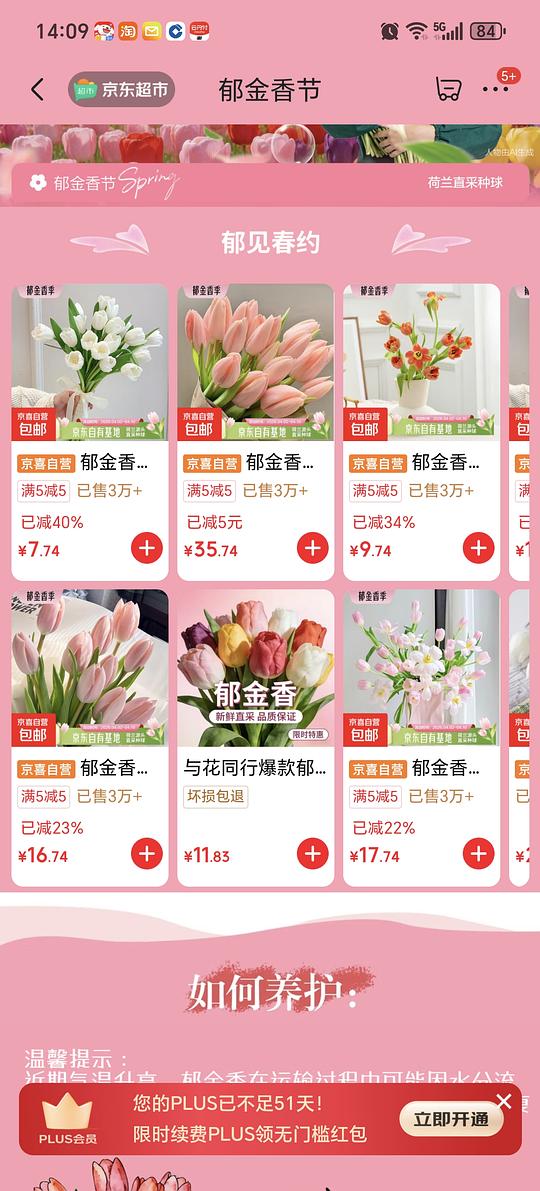 5.9买10支白色郁金香 5.9买10支白色郁金香