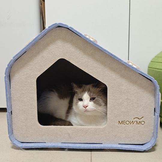 30r两个毛毡猫窝 30r两个毛毡猫窝